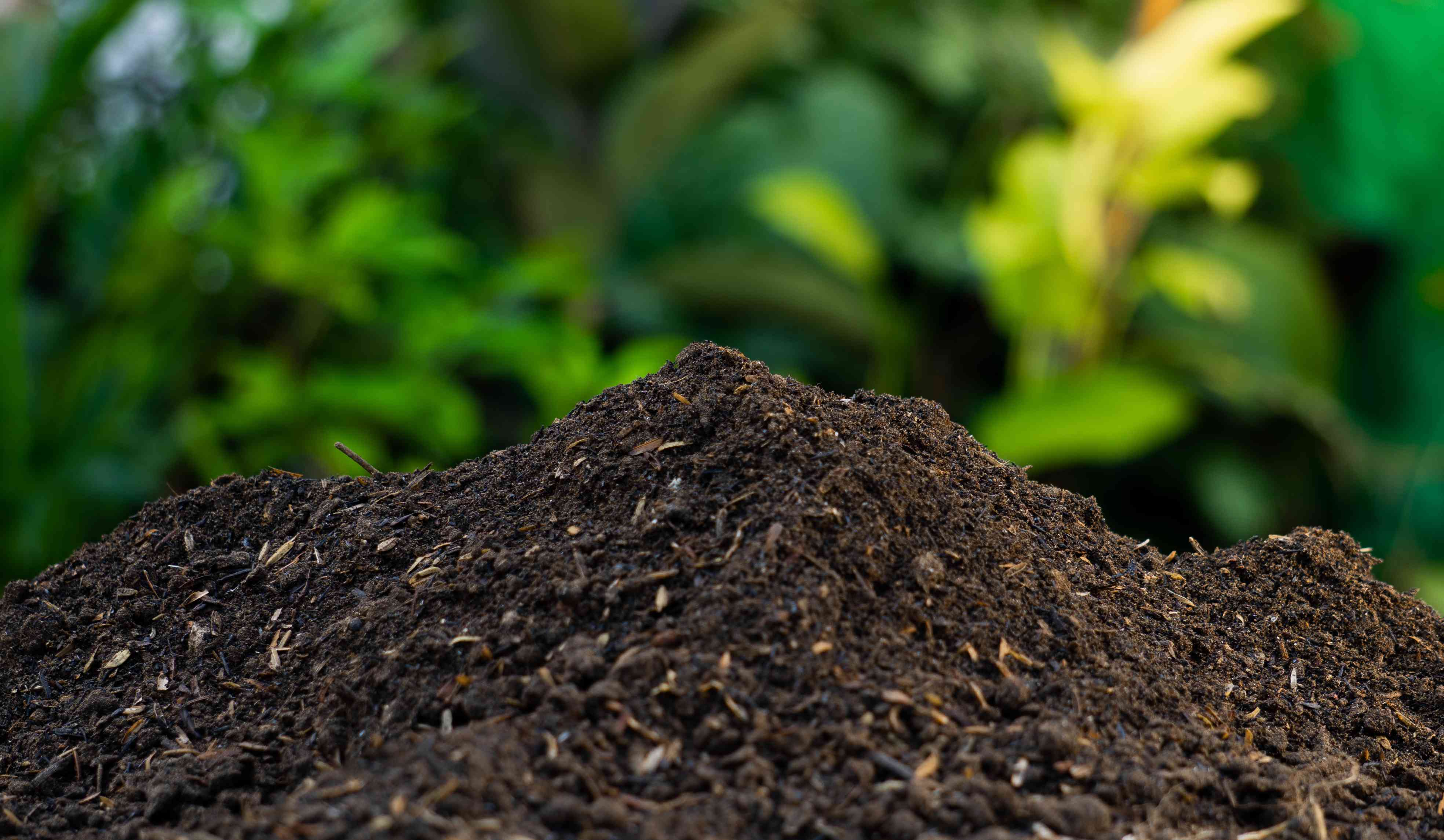 Compost - Buy Online | My Gravel Guy